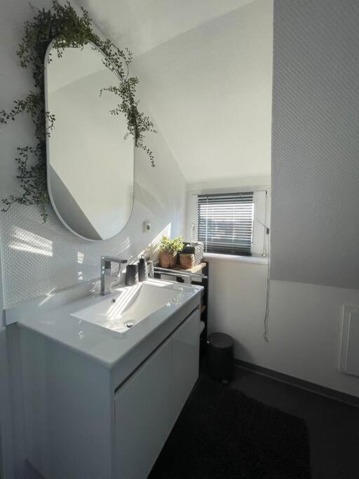 Gemuetliche, Helle Wohnung In Paderborn Dış mekan fotoğraf